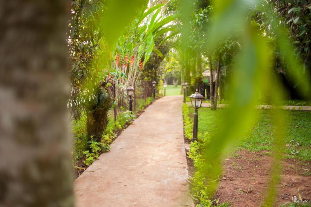 Village Noah Yaoundé Exterior foto